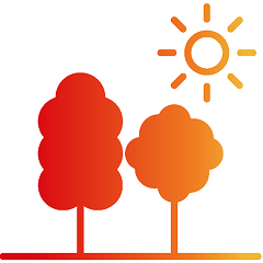Trees and a sun