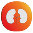 Kidneys Icon