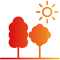 Trees and a sun